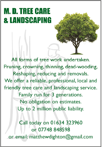 MD Tree Care & Landscaping