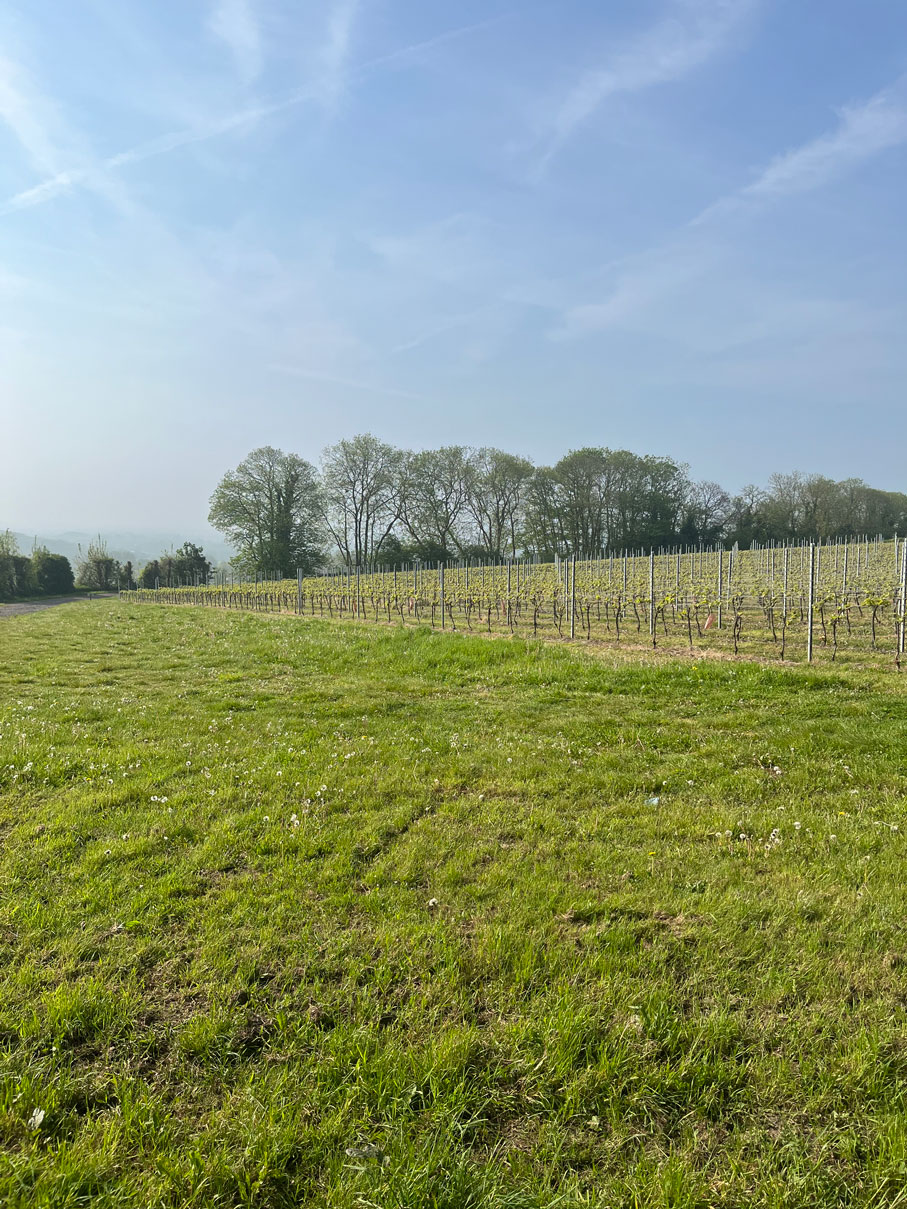 Kent landscape photo